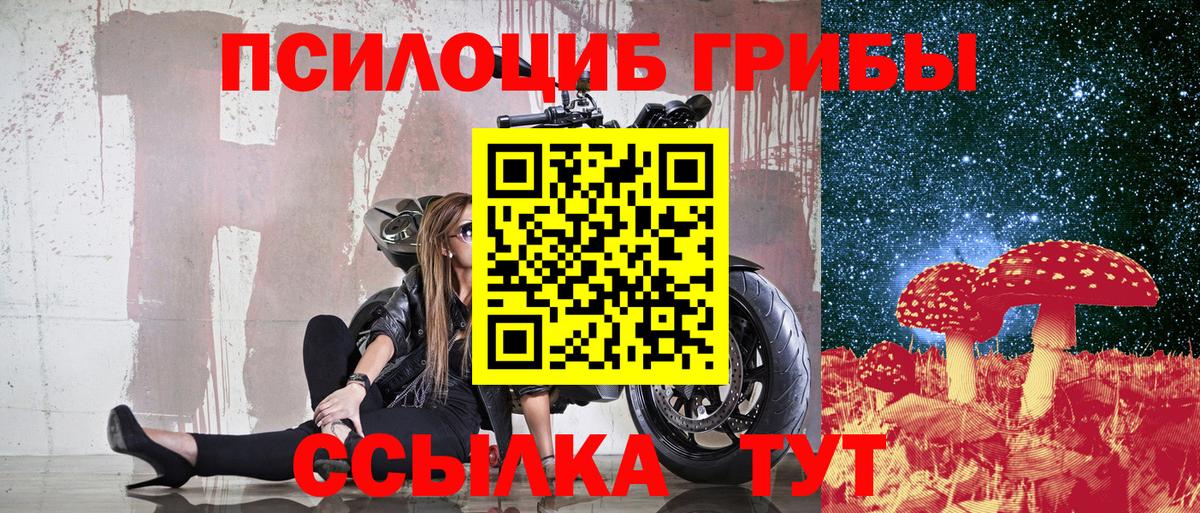 Псилоцибиновые грибы ЛСД Ревда